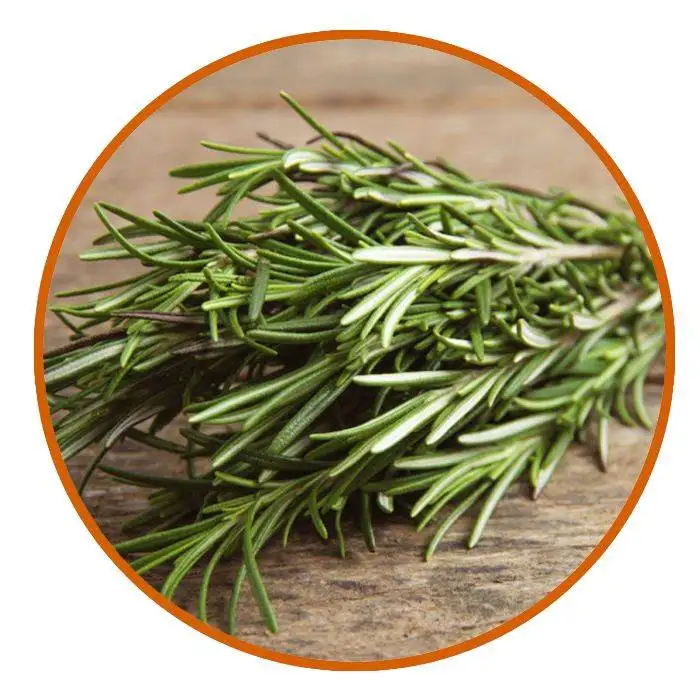Mystic Orange Rosemary Face wash 10