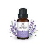 Lavender Essential Oil