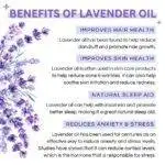 Lavender Essential Oil