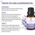 Lavender Essential Oil