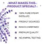 Lavender Essential Oil