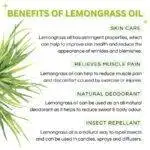 Lemongrass Essential Oil