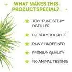 Lemongrass Essential Oil