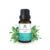 Peppermint Essential Oil